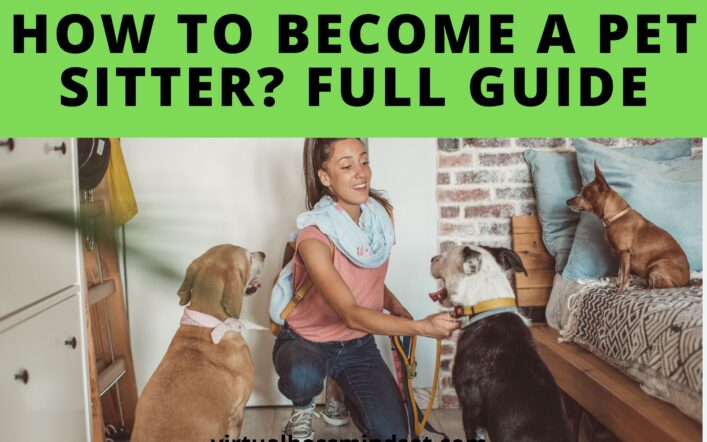 How to Be a Pet Sitter? All you need to know