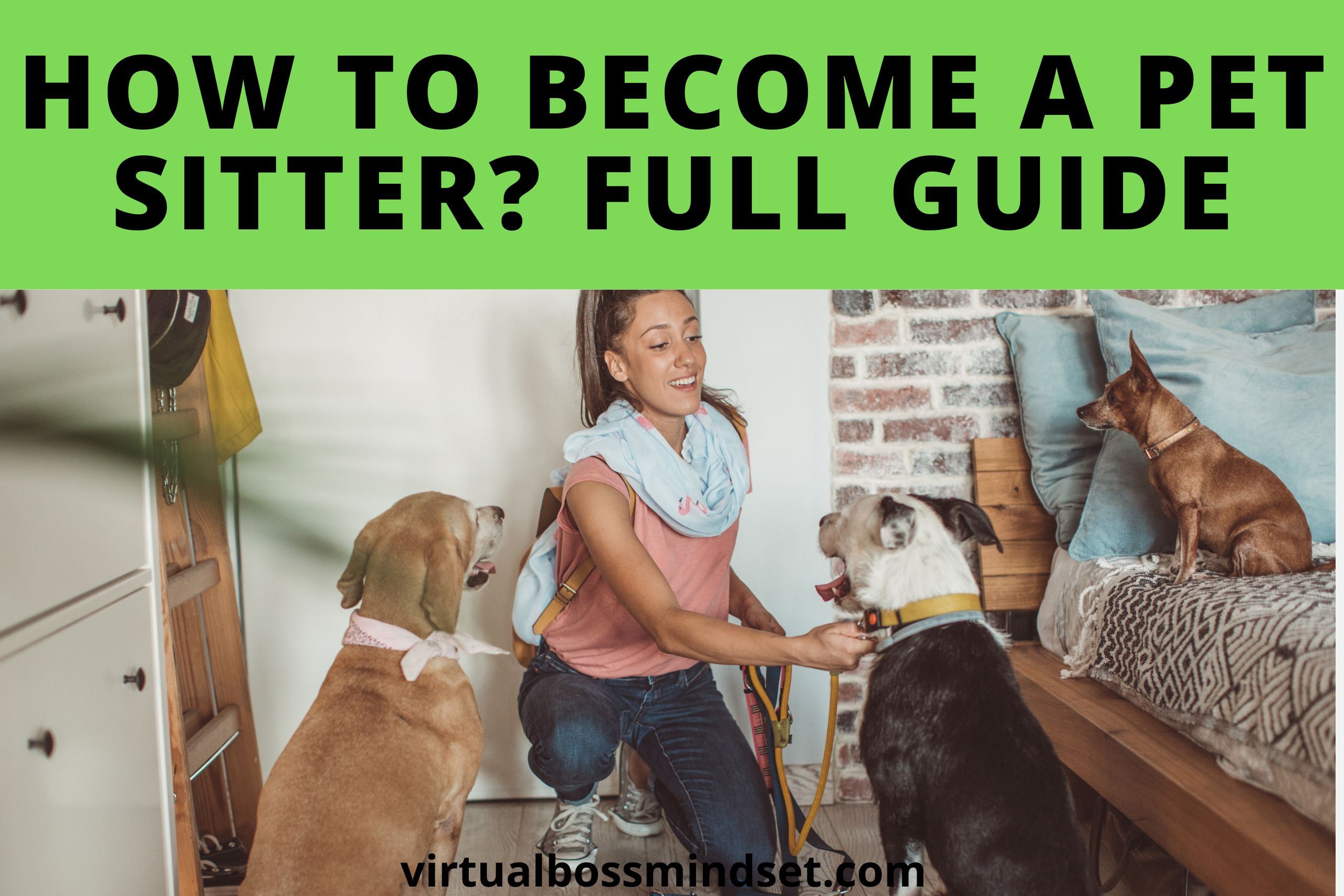 How to Be a Pet Sitter? All you need to know
