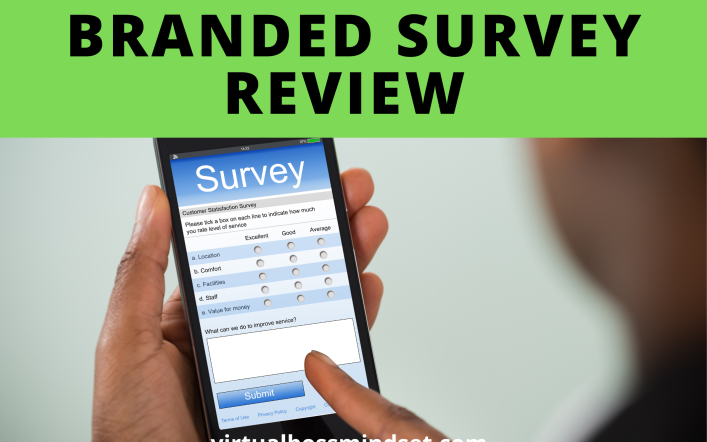 Branded Survey Review 2024
